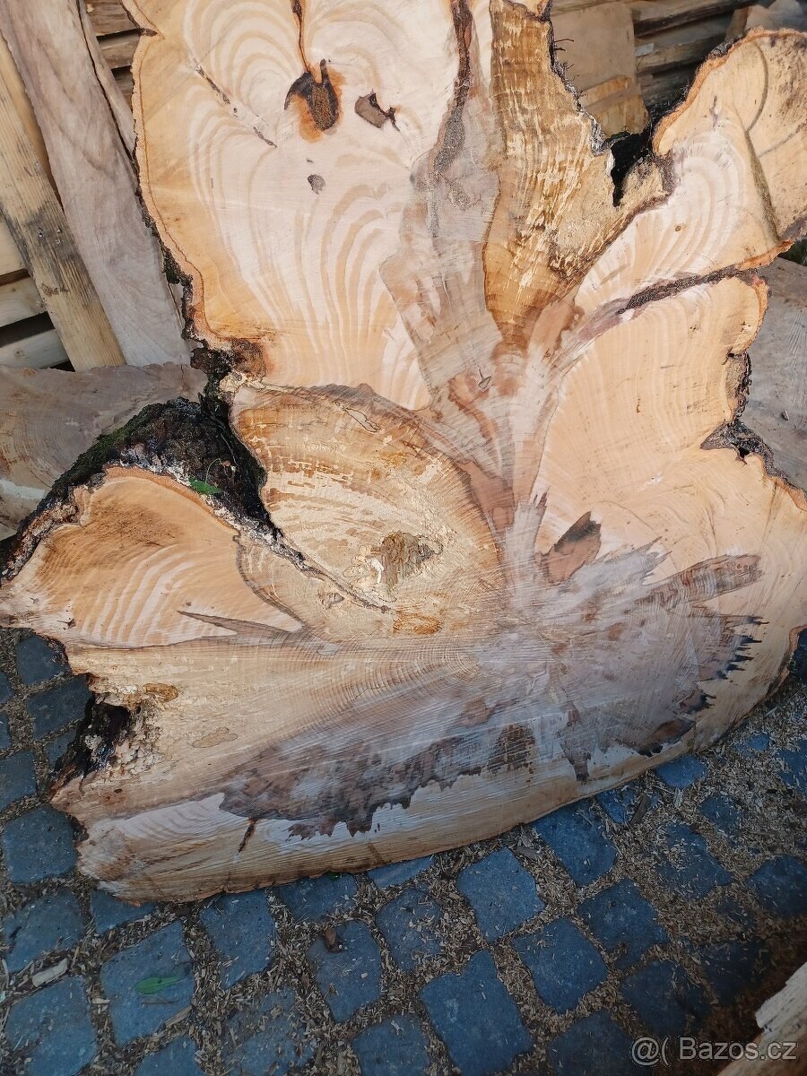 Koláče z tvrdého dřeva, Habr Buk - 10