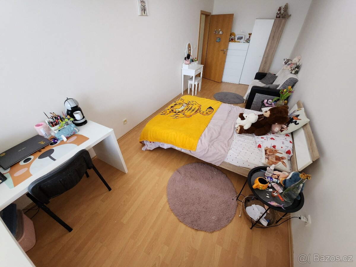 Prodej bytu 3+kk 105 m², Kollárova, Hradec Králové - 10