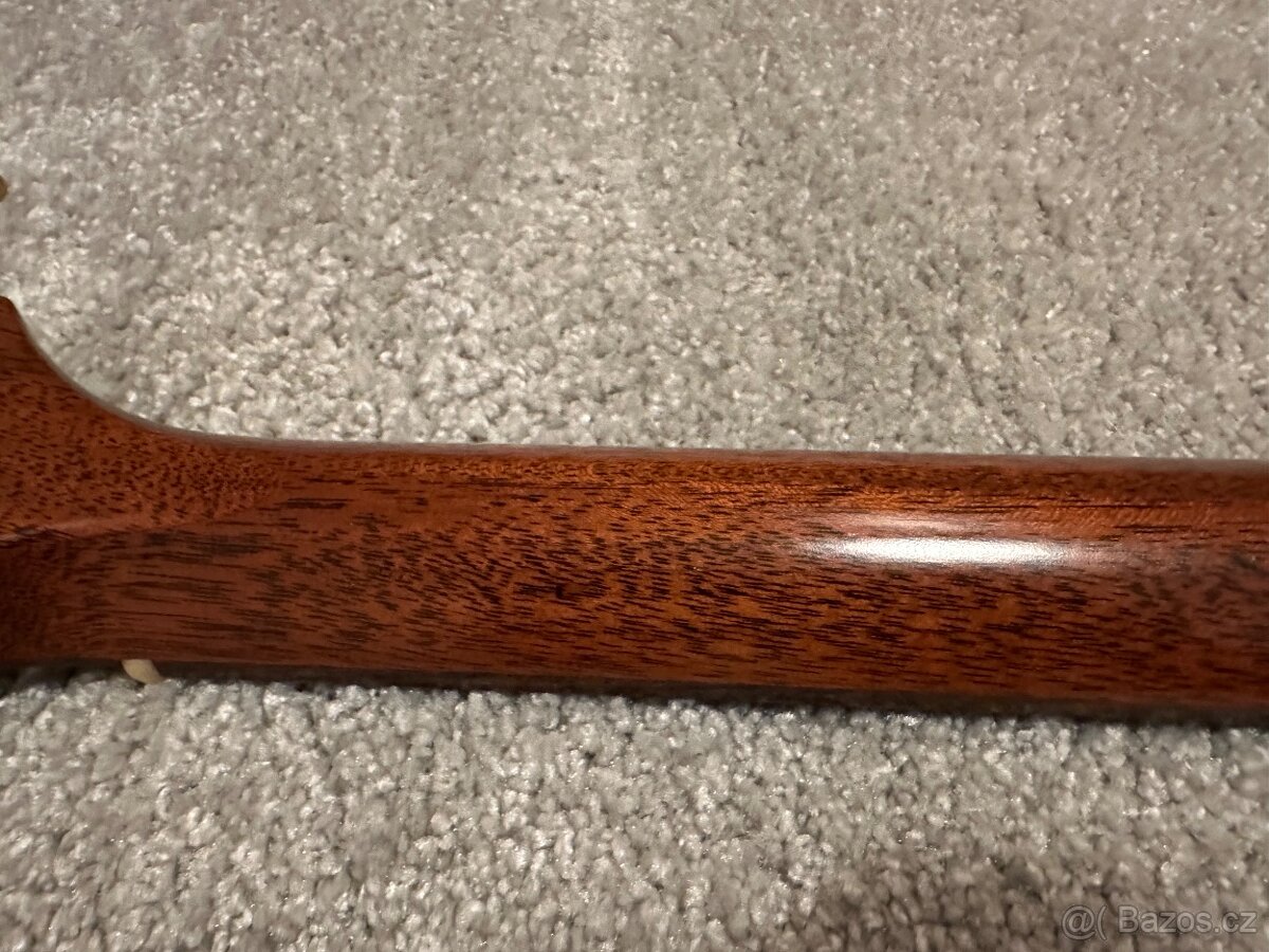 Taylor 910e / R.V 2014 / DREADNOUGHT / - 10