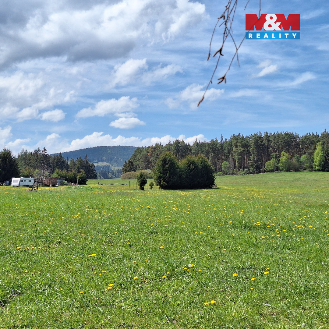 Prodej louky, 5 959 m², Zdíkov - 10