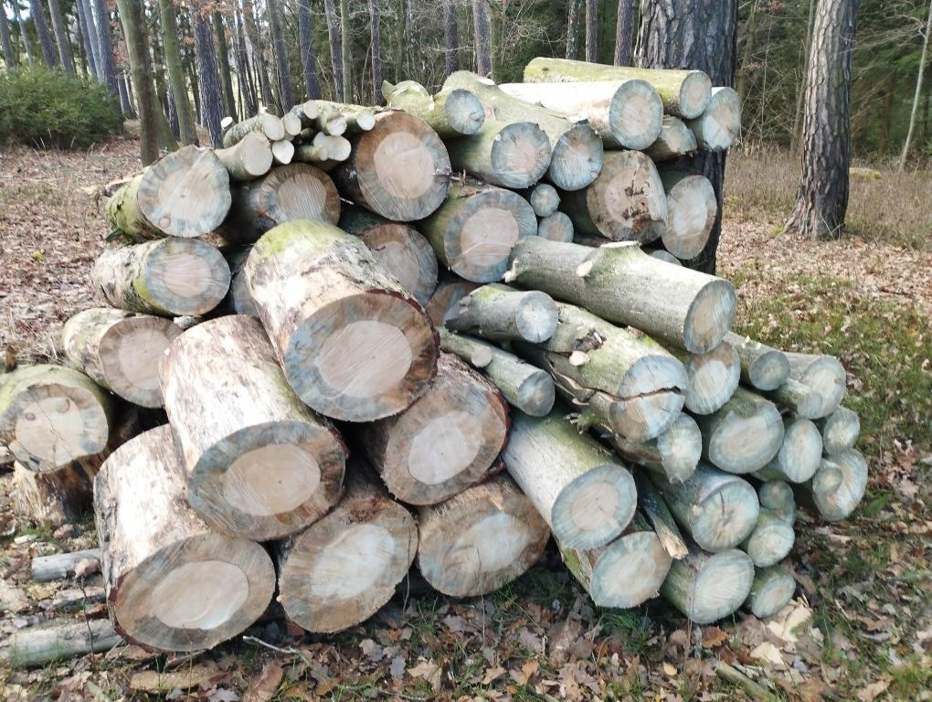 Palivové dřevo - 10