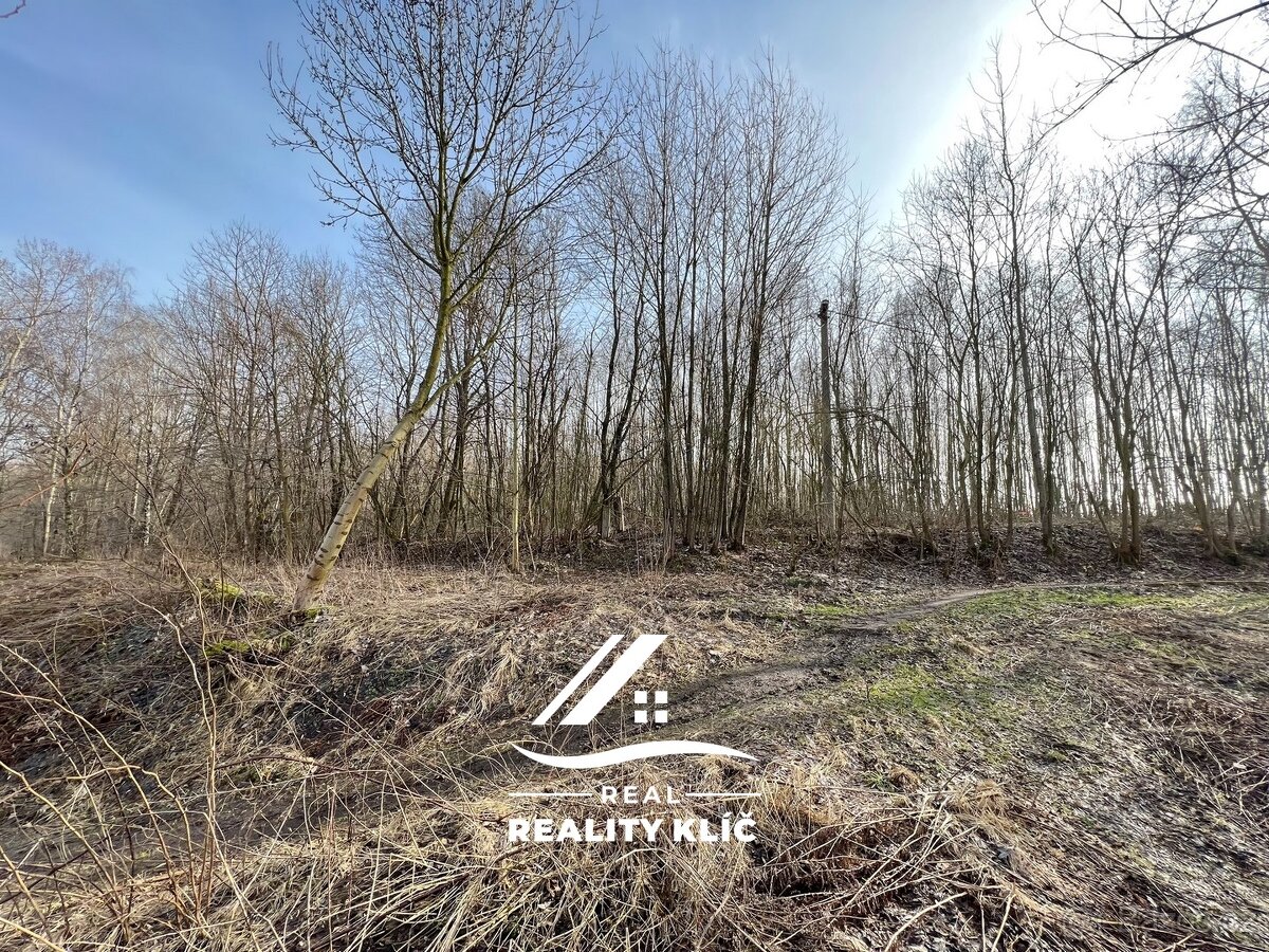 Prodej, tři pozemků o celkové rozloze 15421 m² v Markvartov - 10