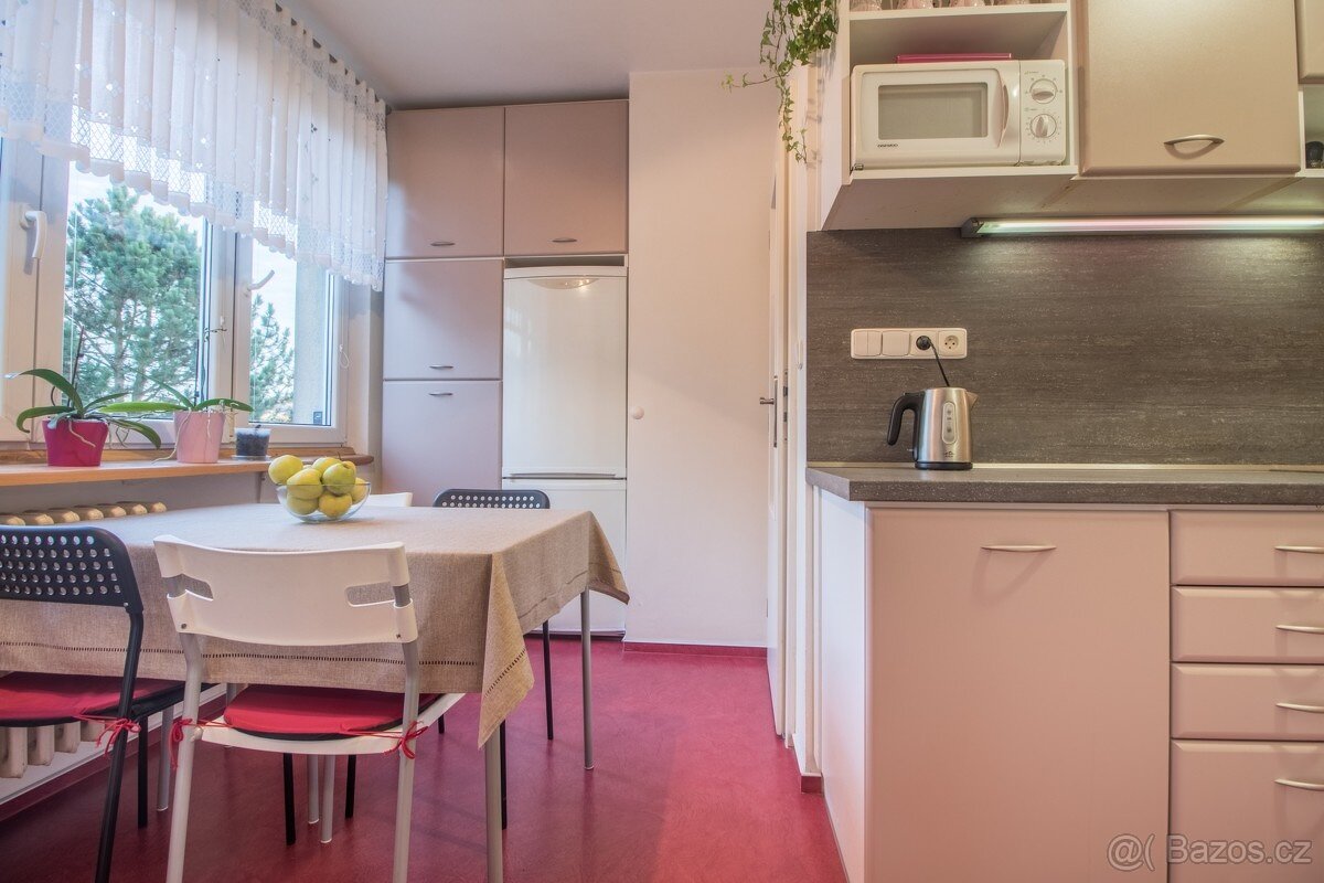 Prostorný BYT 2+1 v Bohaticích - 10