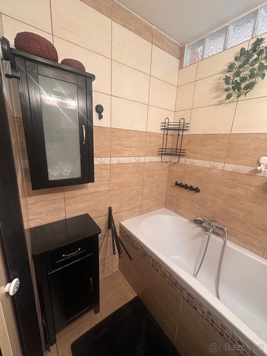 Byt 3+1 Teplice Šanov II - 10