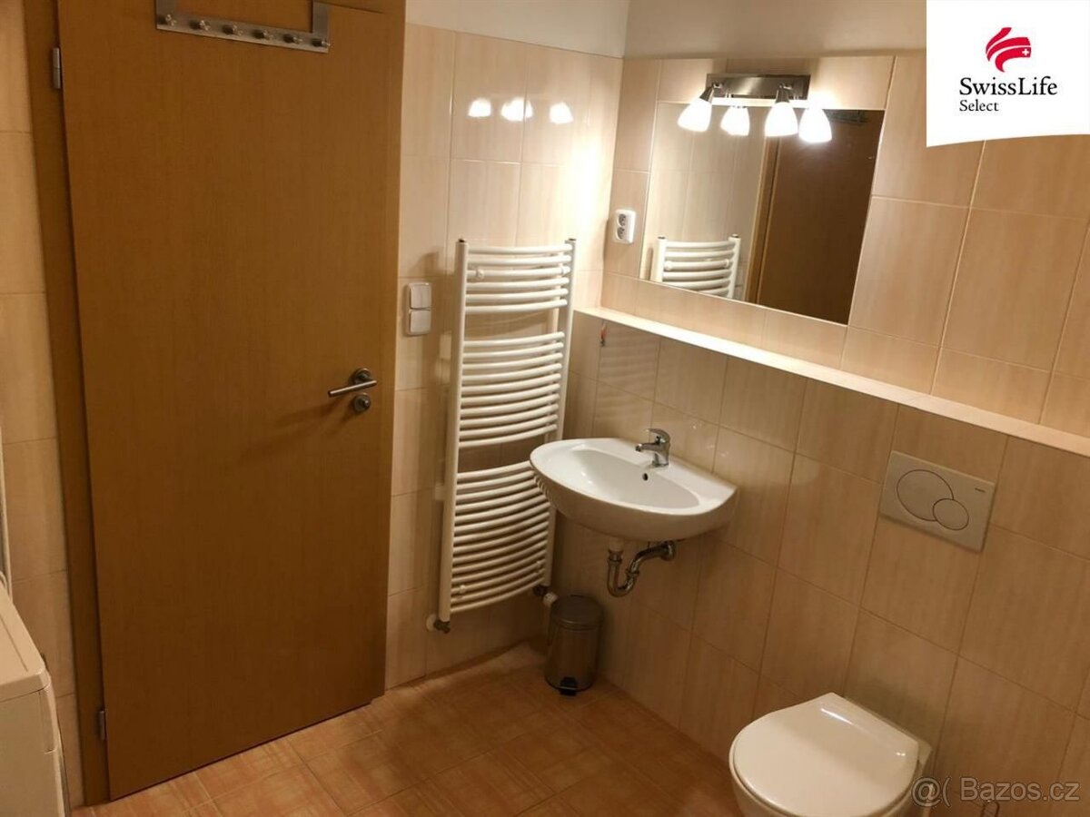 Pronájem bytu 1+kk 53 m2 Labská louka, Hradec Králové - 10