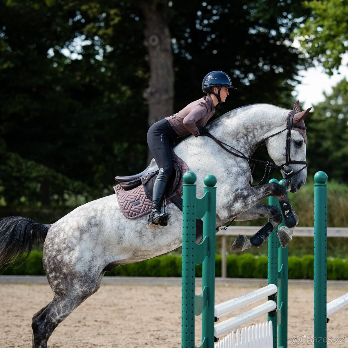 Equestrian Stockholm Amaranth DL a PVS - 10