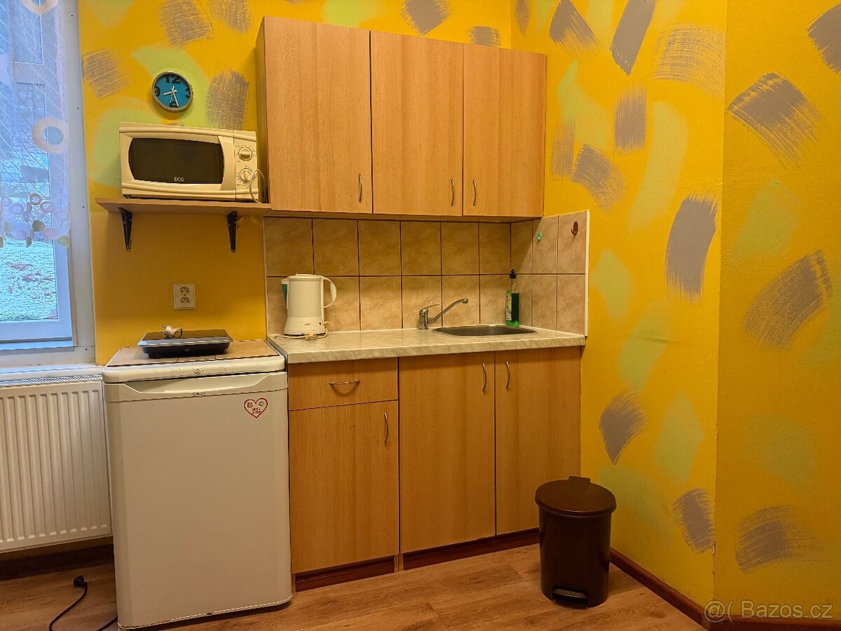 Garsonka k pronájmu - 10