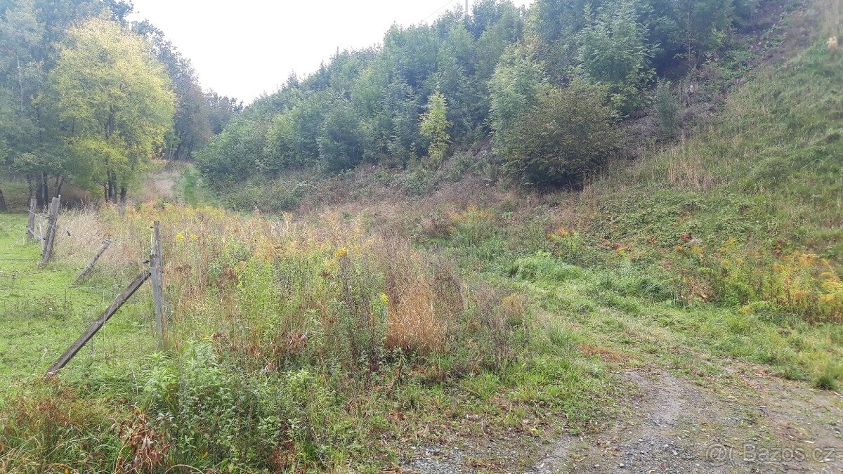 Prodej pozemku, Libina - Obědné, okr. Šumperk - 10