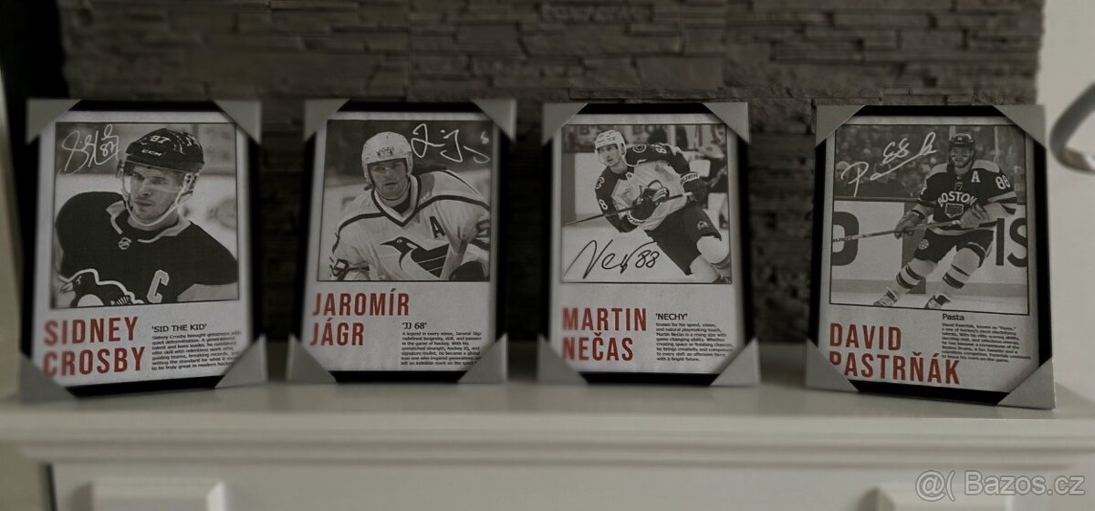 Jiří Procházka - Obraz s rámem v ceně - 10