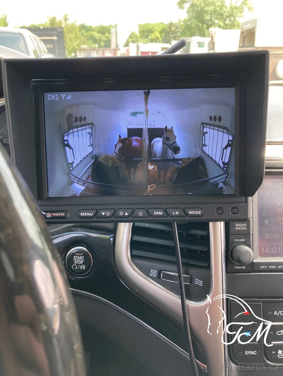 Přeprava koní - 10