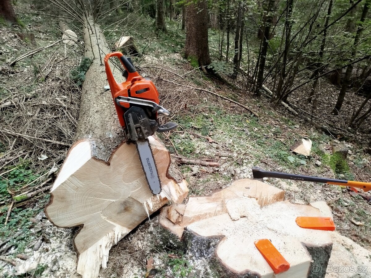 Lesnické práce - 10