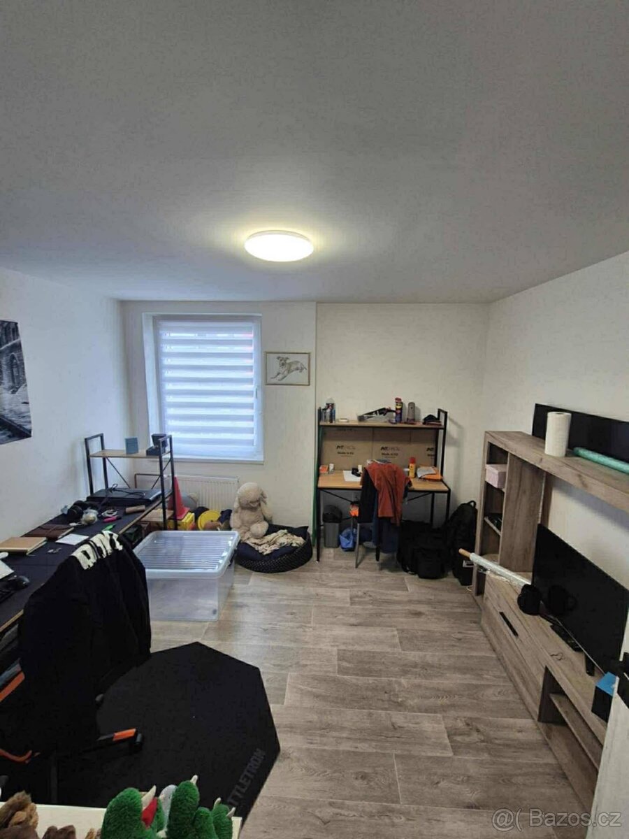 Děčín - Letná úl.Lovosická 3+1 - 10