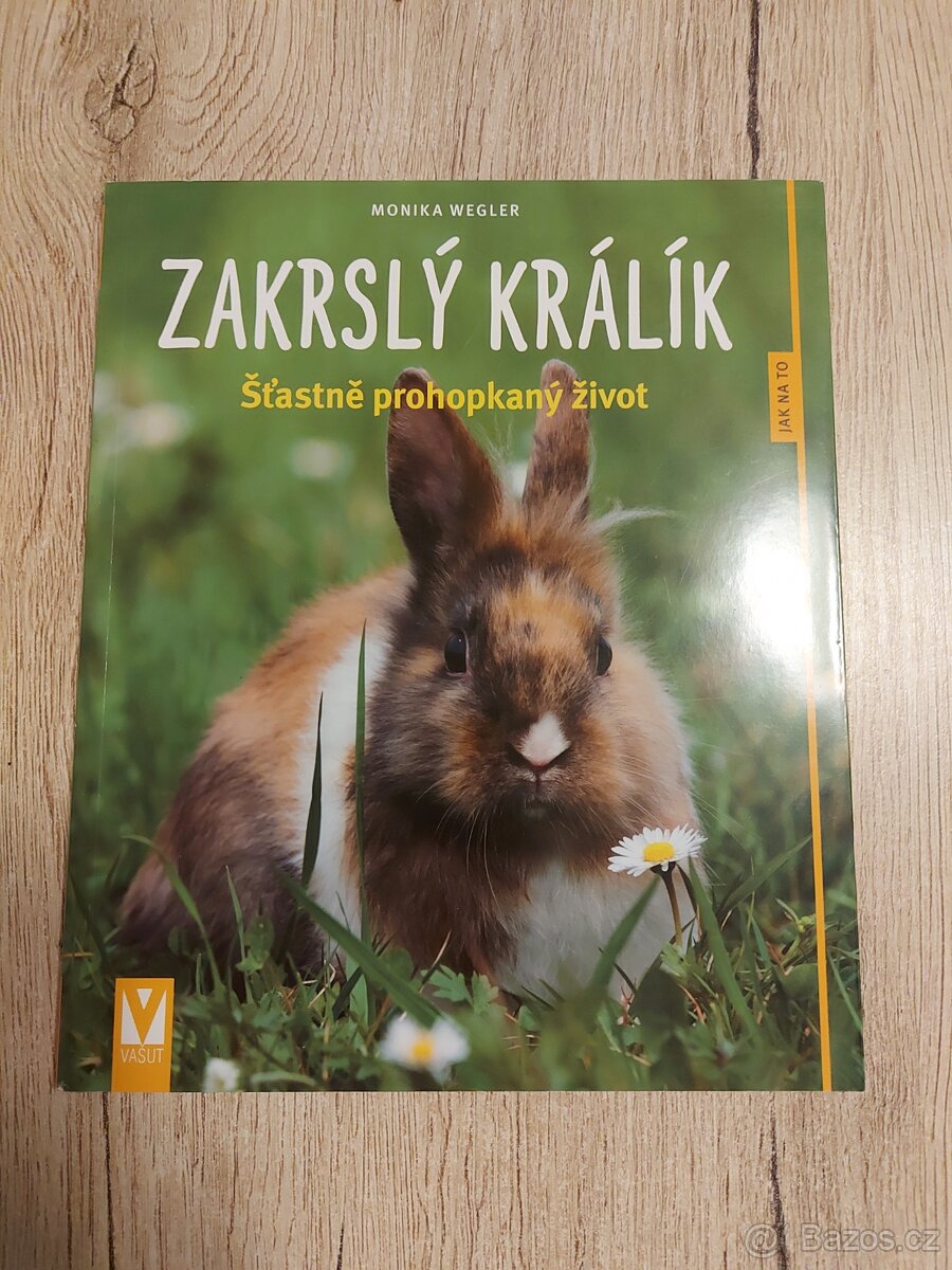 Kuchařka,kniha o mateřství koně origami Vánoce - 10