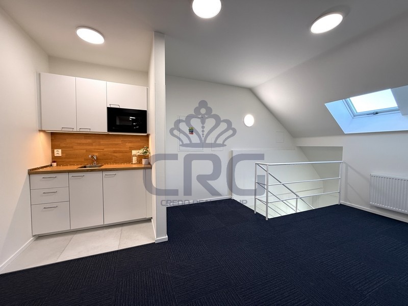 PRONÁJEM KANCELÁŘE O CP CCA 14,90 M2, BRNO - KRÁLOVO POLE - 10