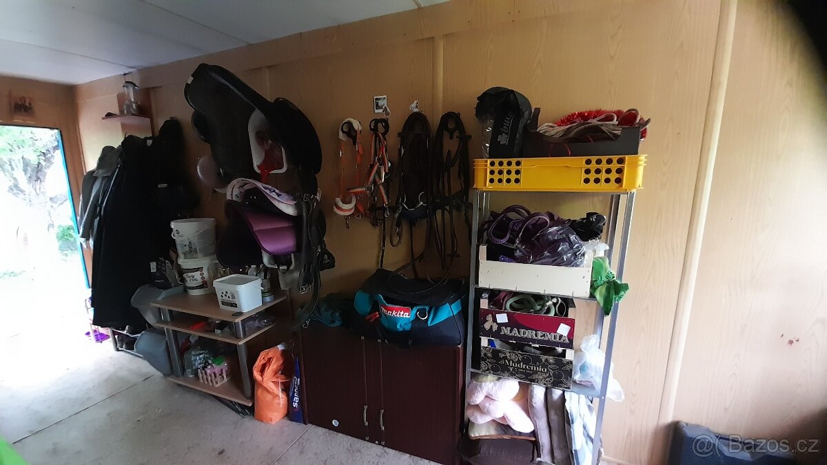 Nabídka ustájení 24/7 - 10