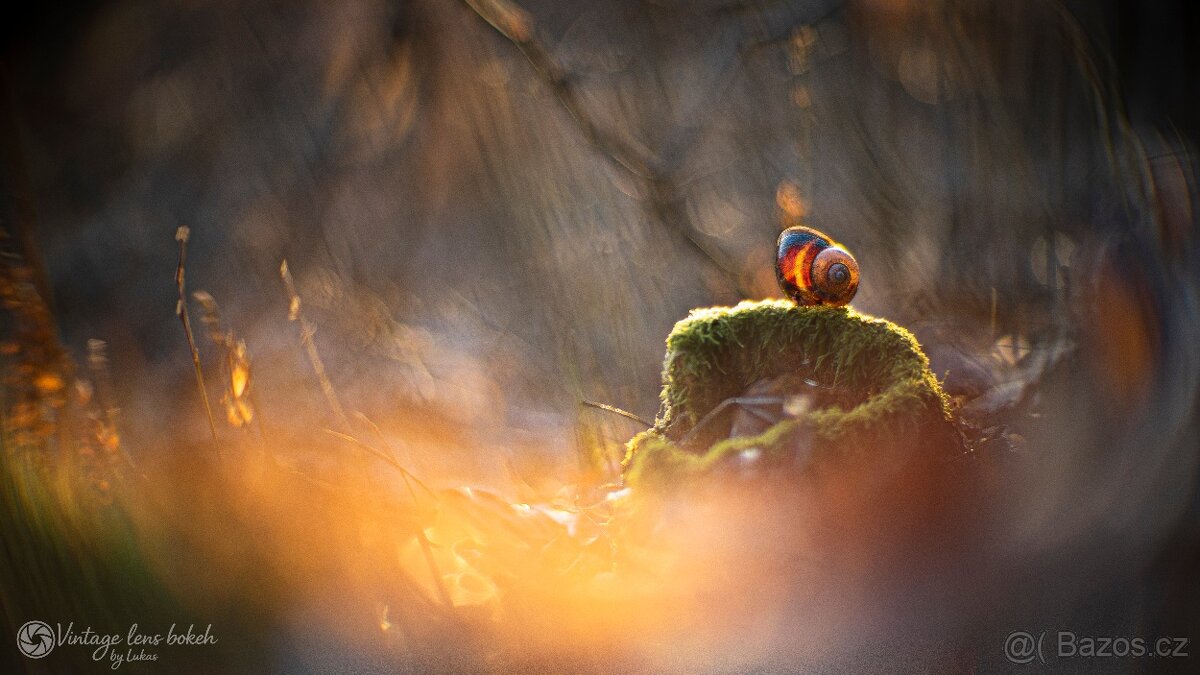 Meopta Meostigmat 50/1 adaptace pro Sony E-mount - 10