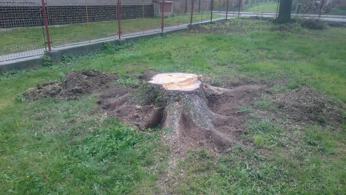 FRÉZOVÁNÍ - ODSTRAŇOVÁNÍ PAŘEZŮ - 10