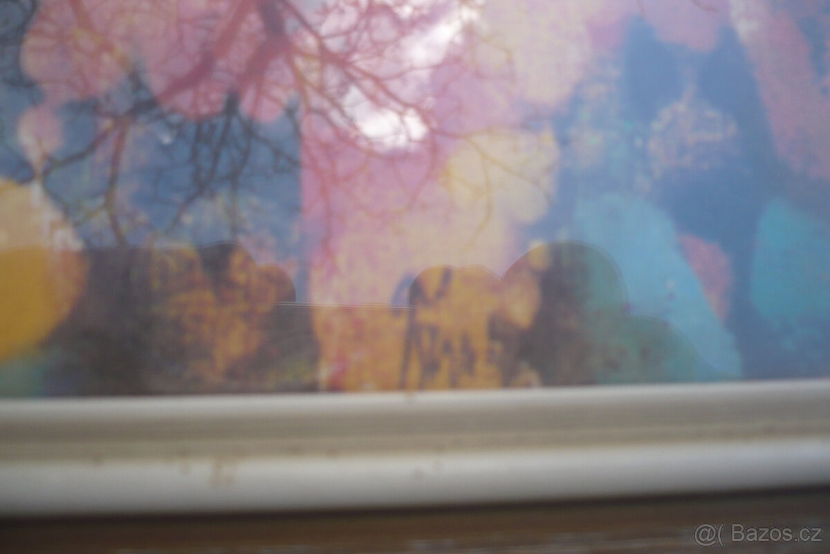 Obrazy na prodej - 10