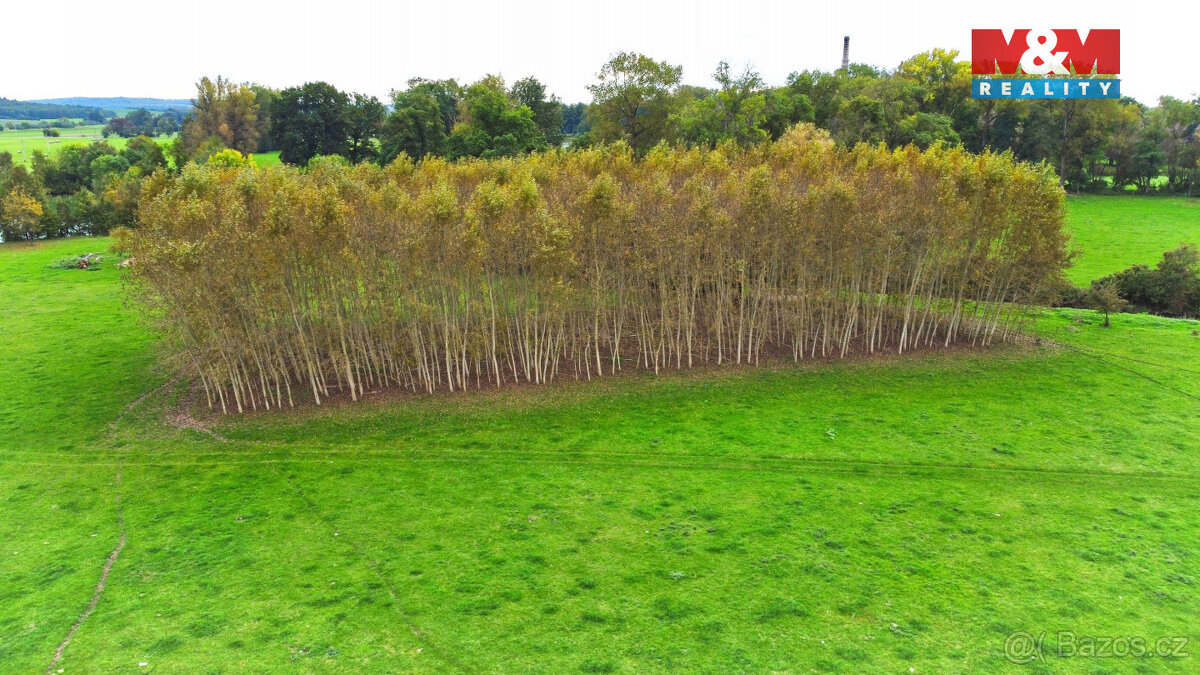 Prodej lesa, 1461 m², Skřivany - 10