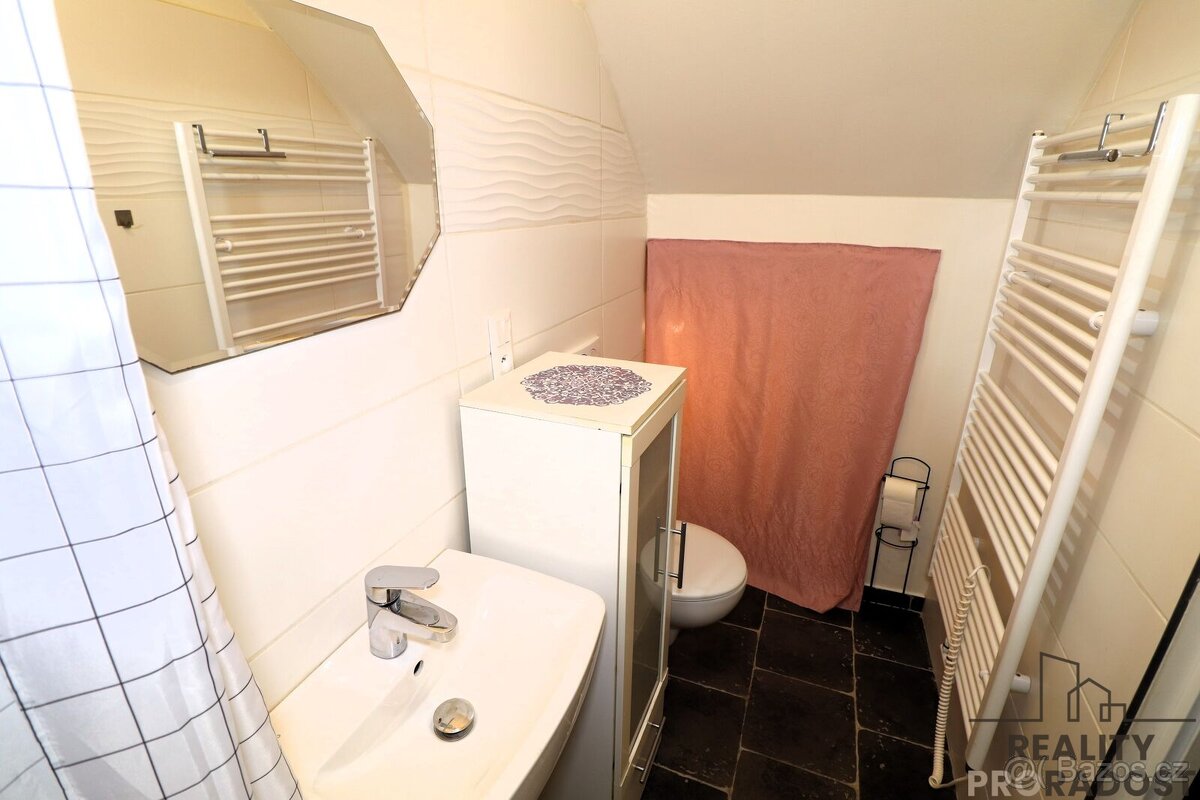 Prostorný byt 1+1 ( 30m² ) po rekonstrukci k pronájmu, Brno- - 10