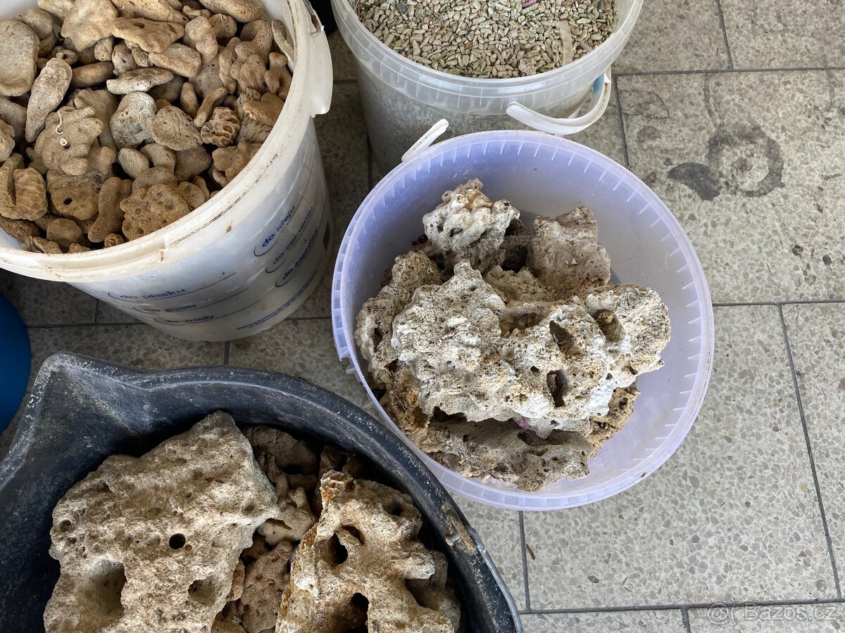 Mořské akvárium - 10