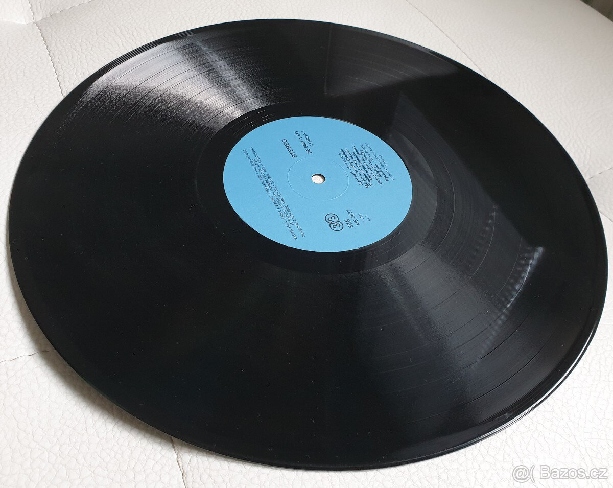 Gramofonové desky z cca 70. let a novější - 10