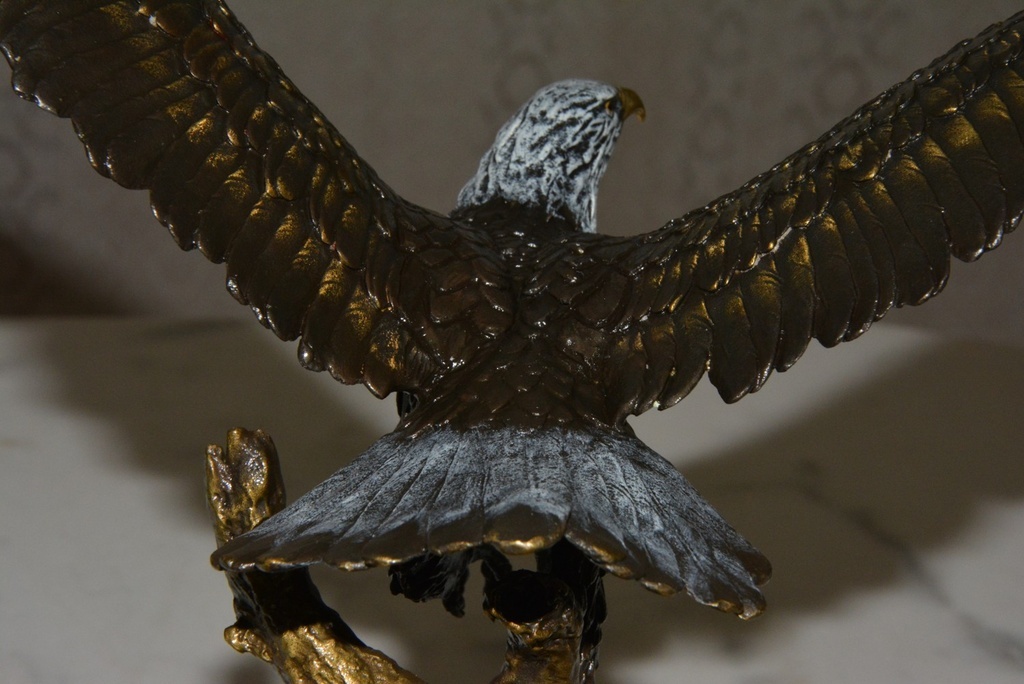 Bronzová socha orla - 10