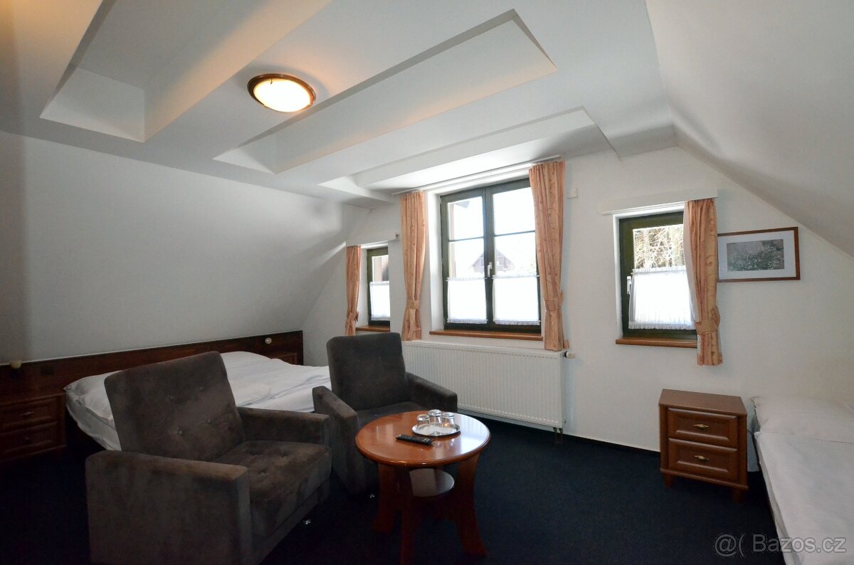 Prodej zavedeného rodinného penzionu + rozestavěná stavba - - 10