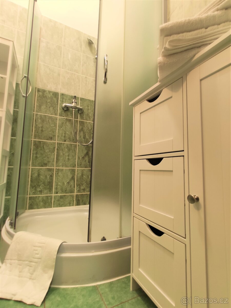 Prodej horského apartmánu, 2+kk, 32 m², Karlovice - 10