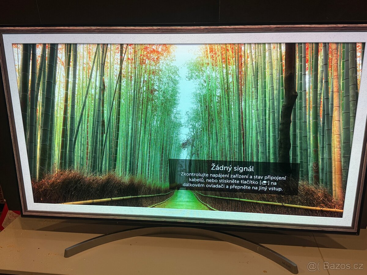 OLED TV LG OLED 55B8SLC - 10