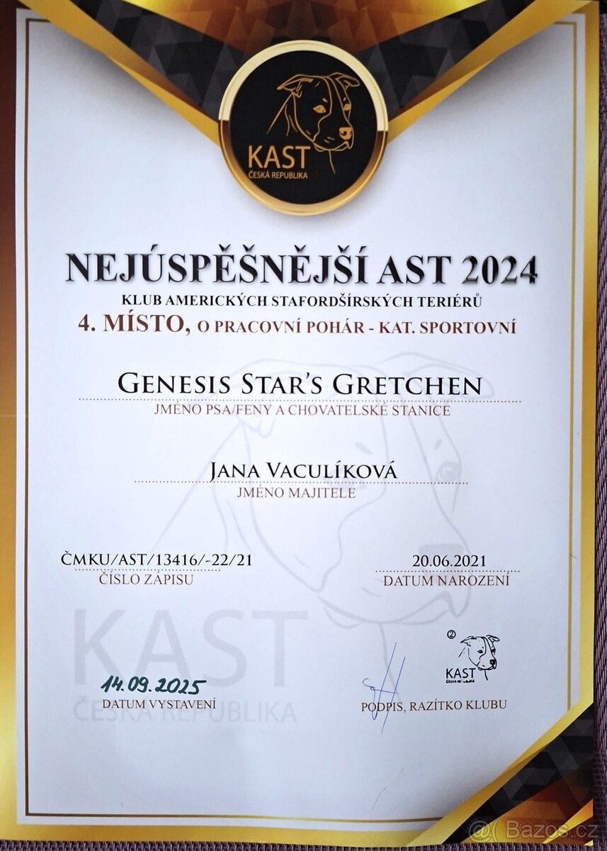 Americký stafordširský teriér s PP - 10