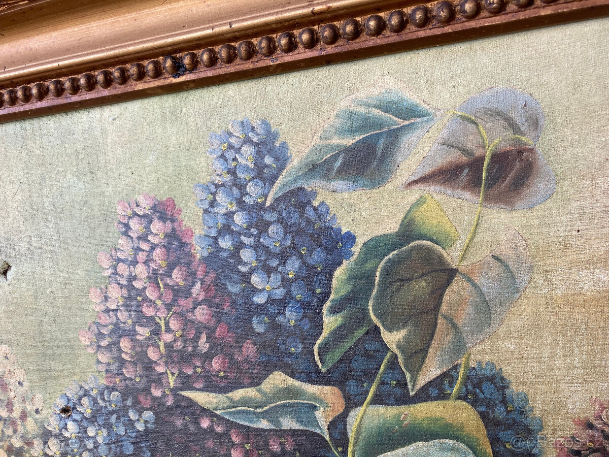 Obraz starý na plátně - 10