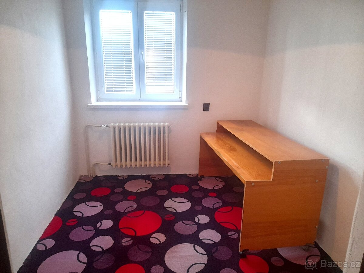 Pronájem bytu 3+1 v rodinném domě, Skalice u F-M - 10