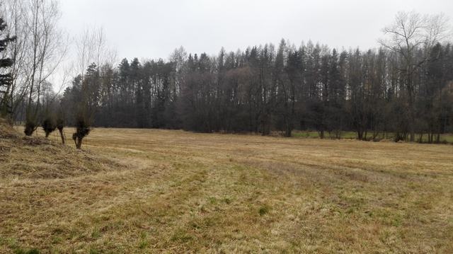 Nabízím k prodeji atraktivní pozemky, KÚ Služátky - 10