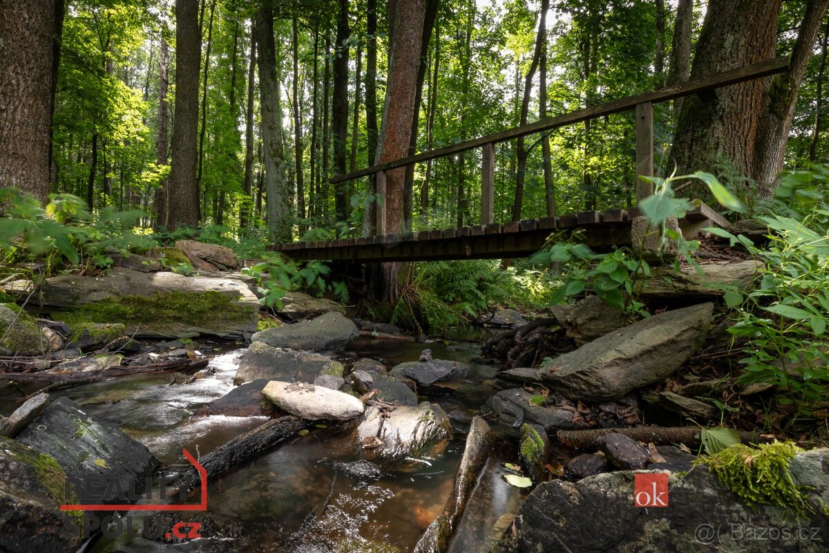 Prodej, komerční/ubytování, 650 m2, 79344 Horní Město, Brunt - 10