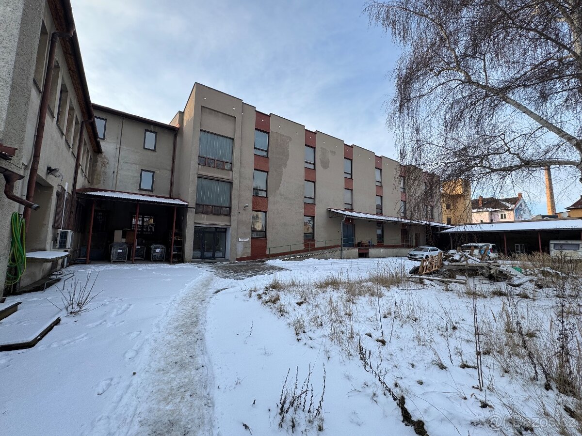 Pronájem nebytových prostor - 10