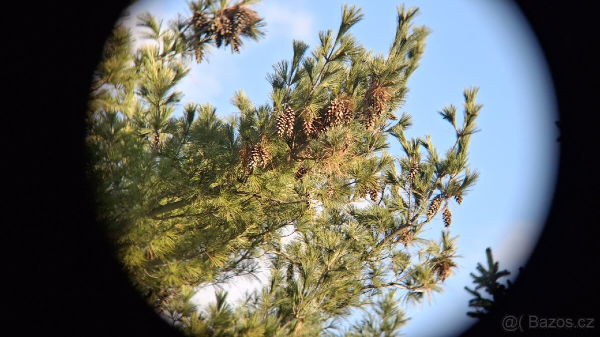 Dalekohled BPC 10X50 SOTEM - 10