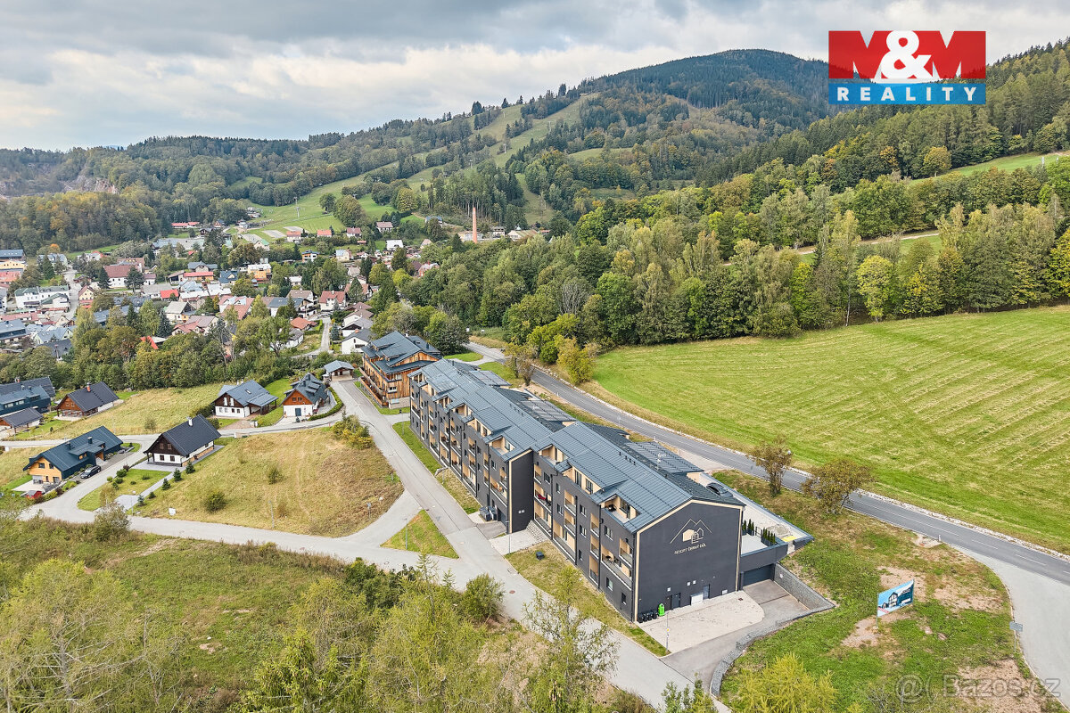 Prodej bytu 2+kk, 42 m², Černý Důl - 10