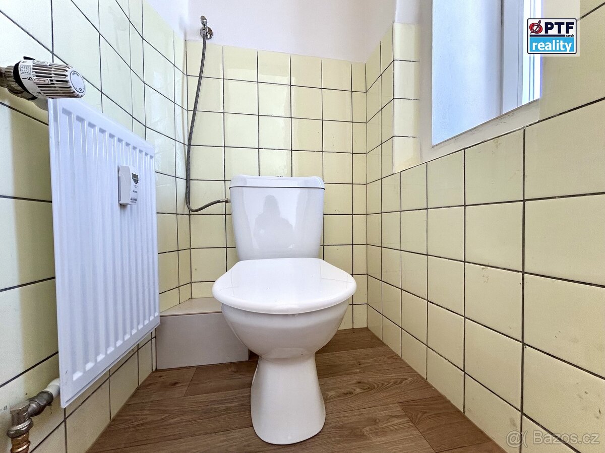 Pronájem zrekonstruovaného bytu 3+kk s terasou, Nepomuk - 10