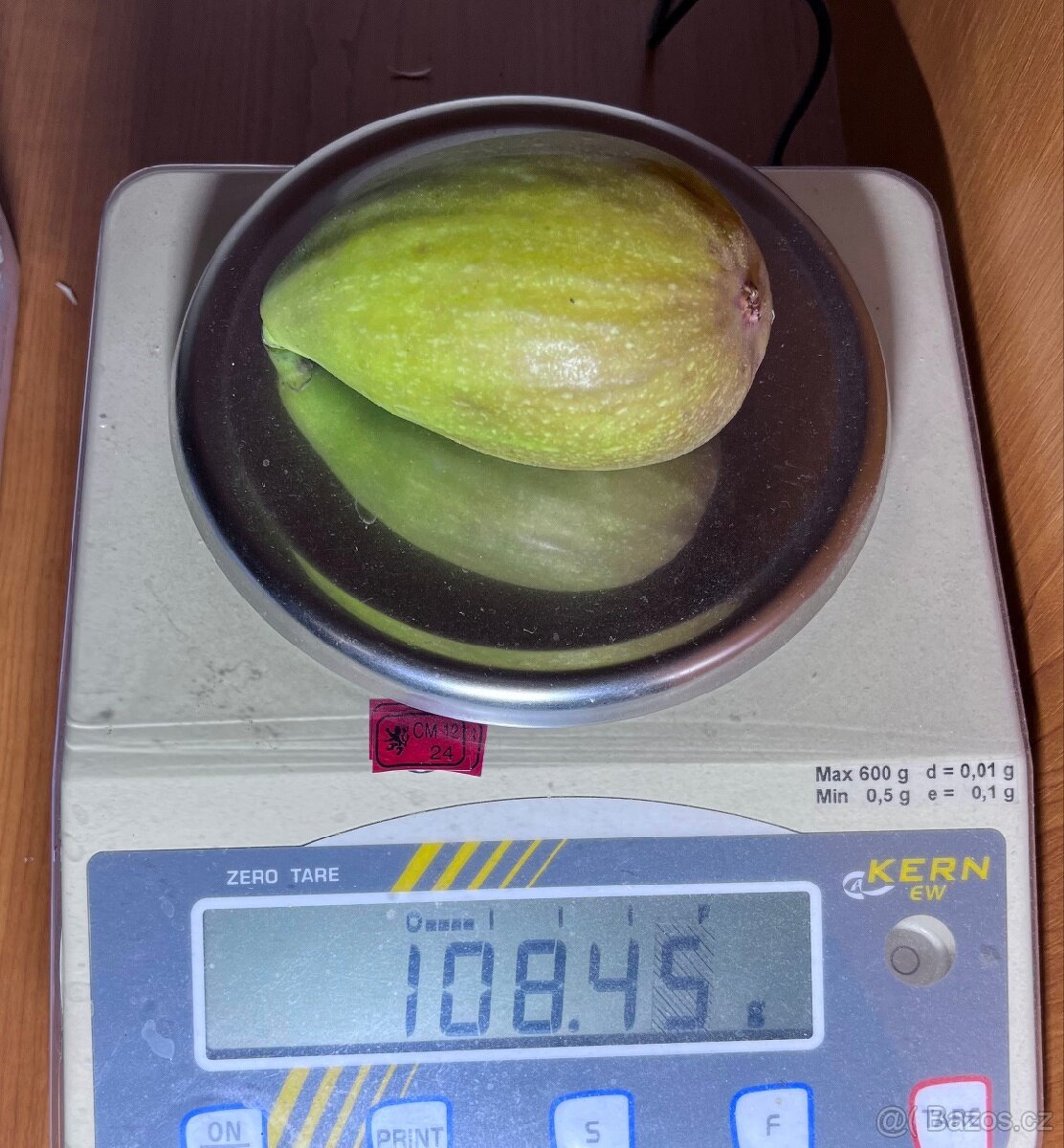 Mrazuvzdorné Fíkovníky - 10