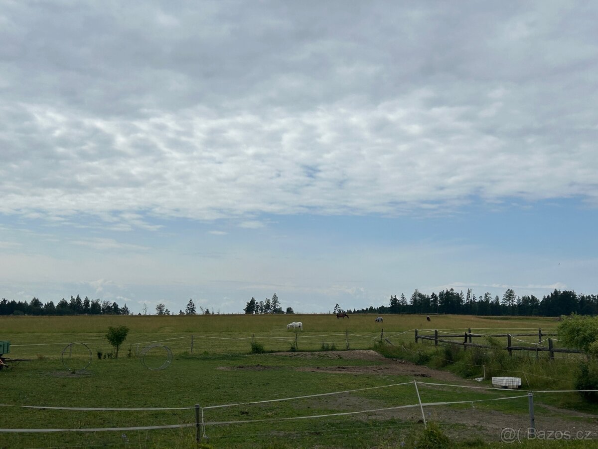 Pastevní areál - 10