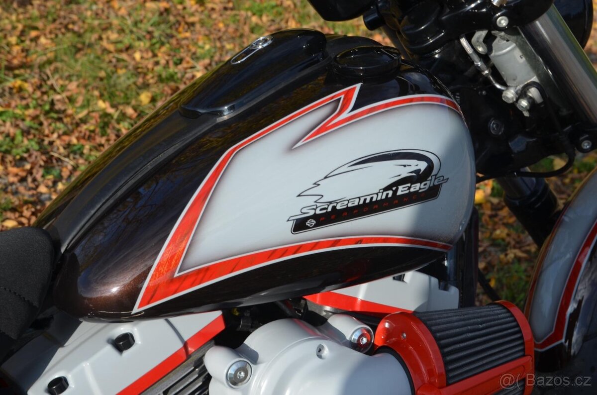 Harley Davidson FXSBE - 10