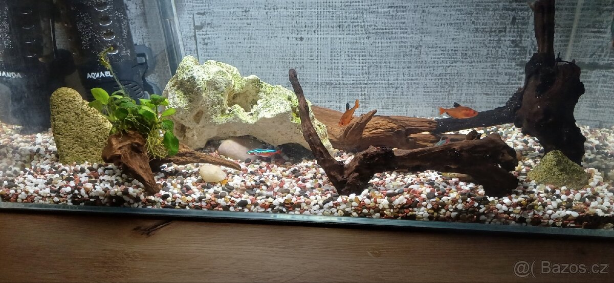 Zařízené akvárium - 10