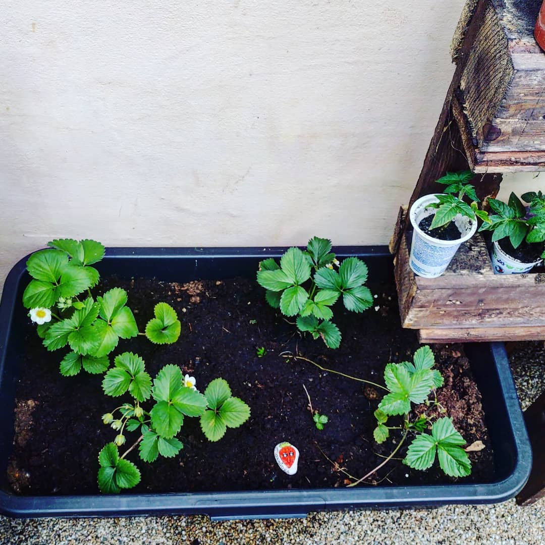 Truhluiky aj na zahradku - 10