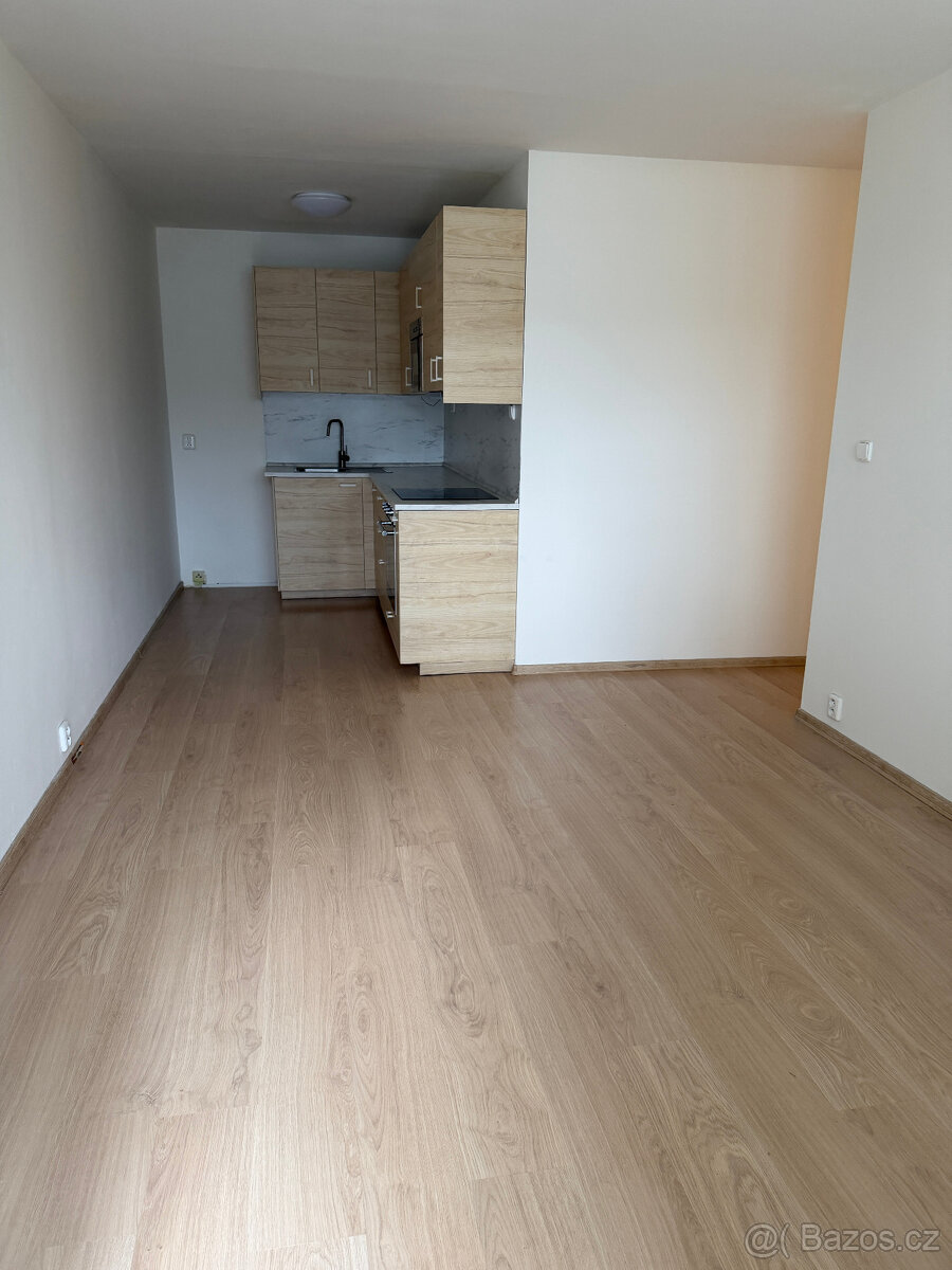 Pronajem bytu 2kk+Lodžie - 10