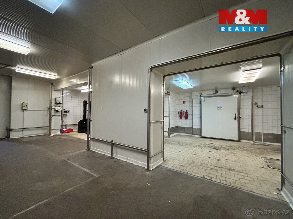 Pronájem výrobního objektu, 2400 m², Litenčice - 10