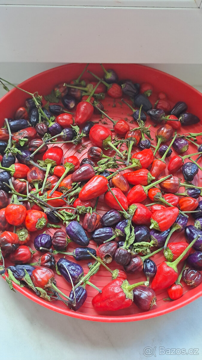 Chilli semínka 7 druhů ,Scorpion,Naga Moritch, Zvonečkové, A - 10