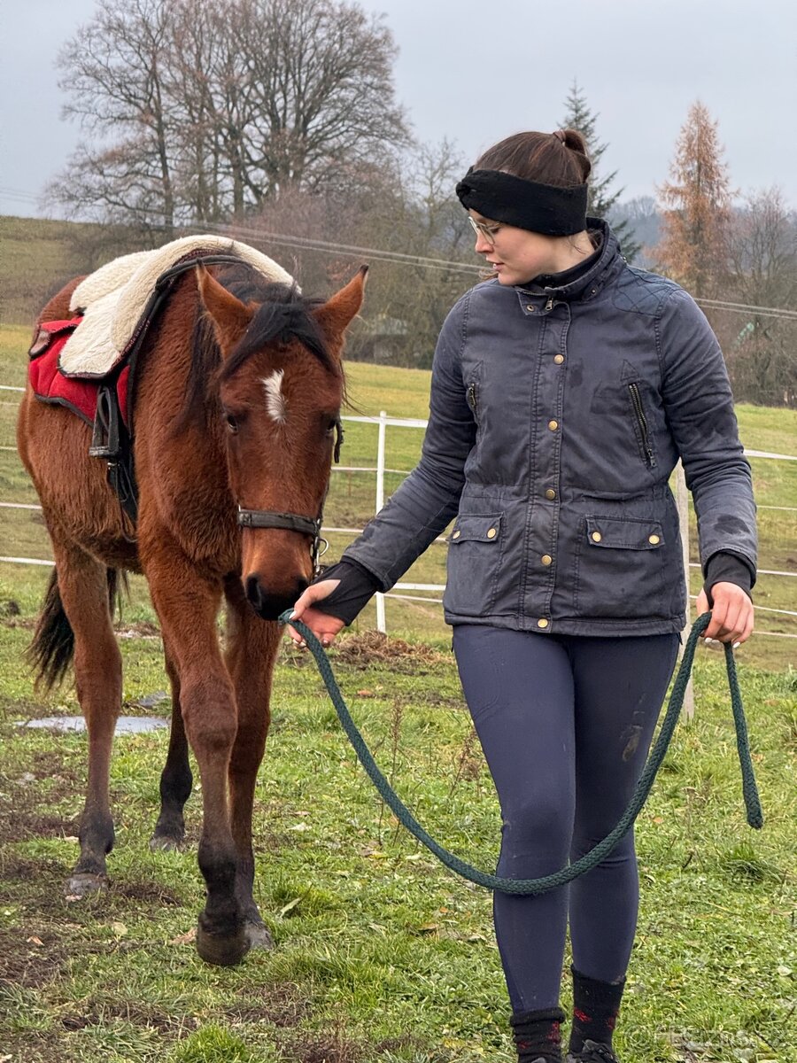 Hodný hřebeček - 10