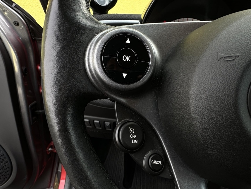 Smart Forfour EQ forfour 1.Maj. Cabrio r.v. 2018 - 10