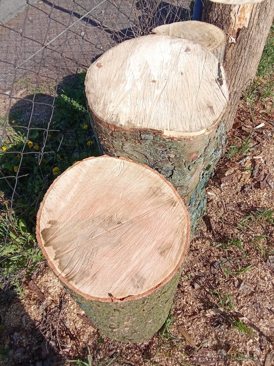 Palivové dřevo štípané - 10